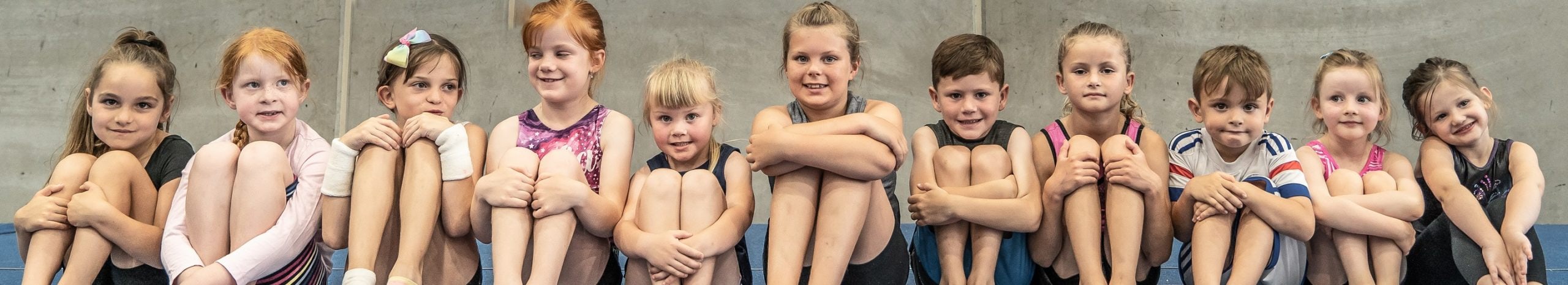 Protected: Mentor Program Cover Image